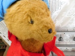 paddington 20 face view